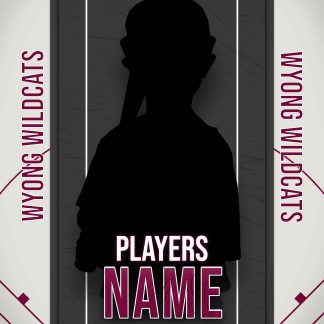 WYONG WILDCATS 2025 Package 1